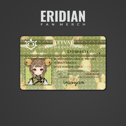 Genshin Impact Adventurer Identification