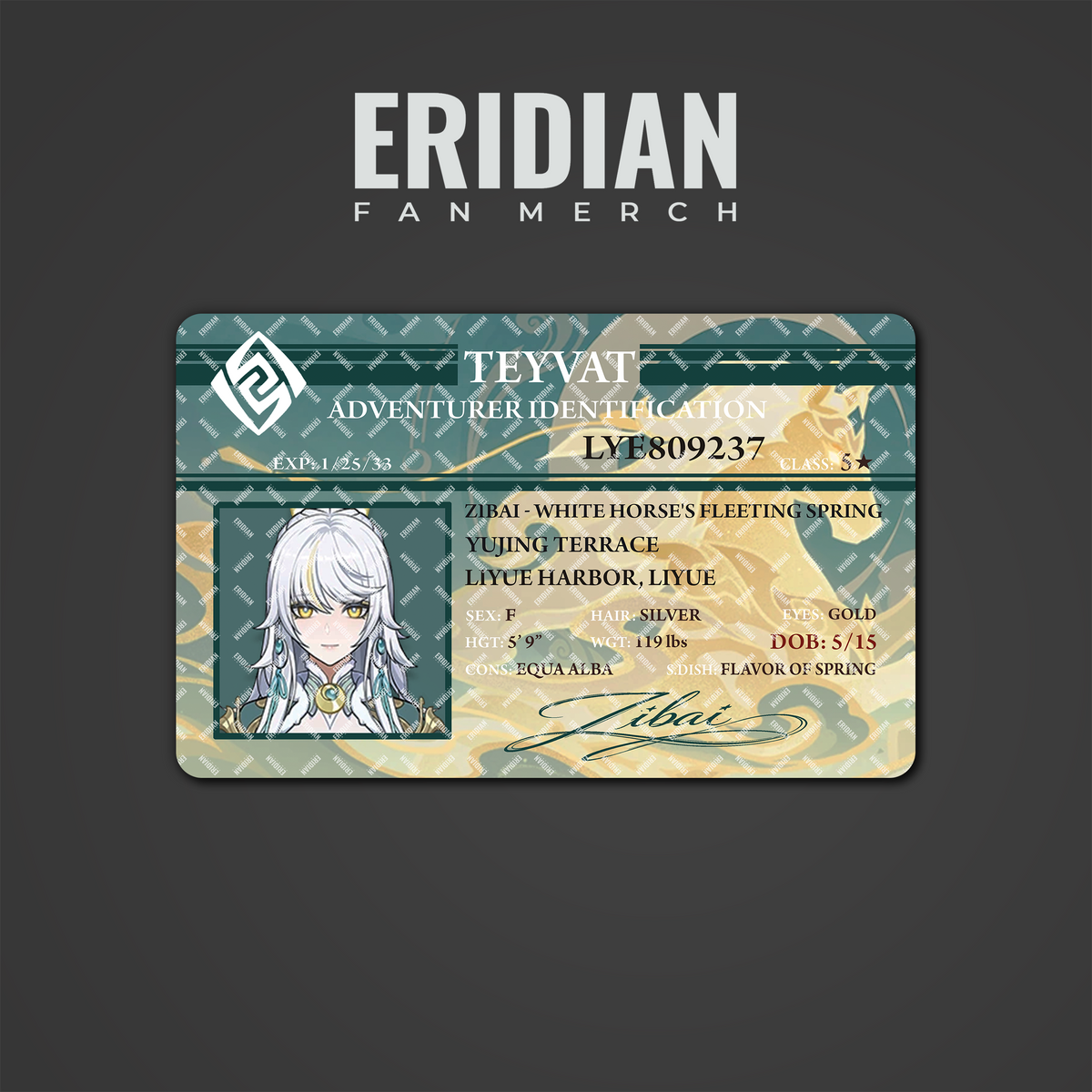 Genshin Impact Adventurer Identification